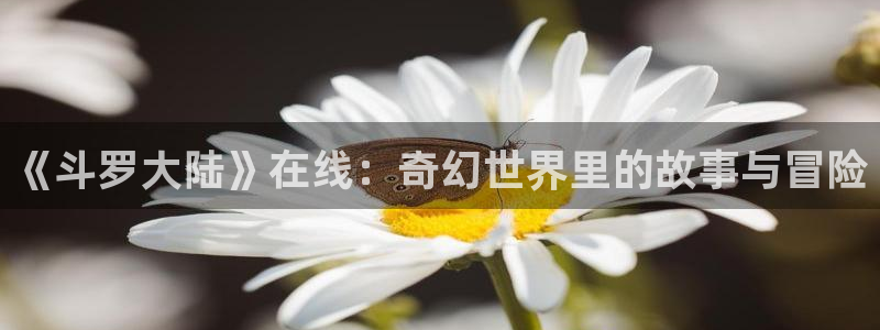 包子漫画官网免费阅读入口：《斗罗大陆》在线：奇幻世界里的故事与冒险